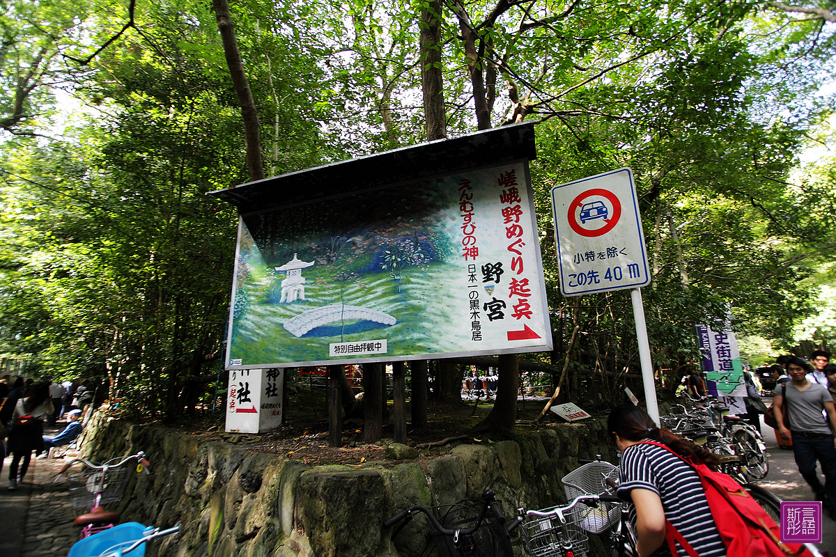 嵐山渡月橋 (62)