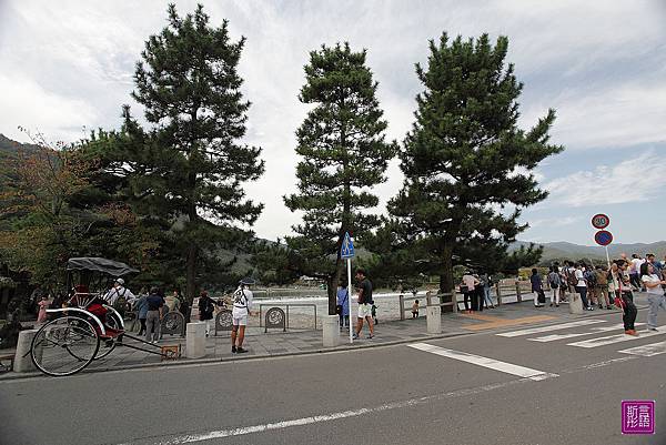 嵐山渡月橋 (110)