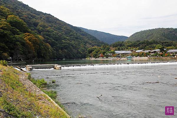 嵐山渡月橋 (116)