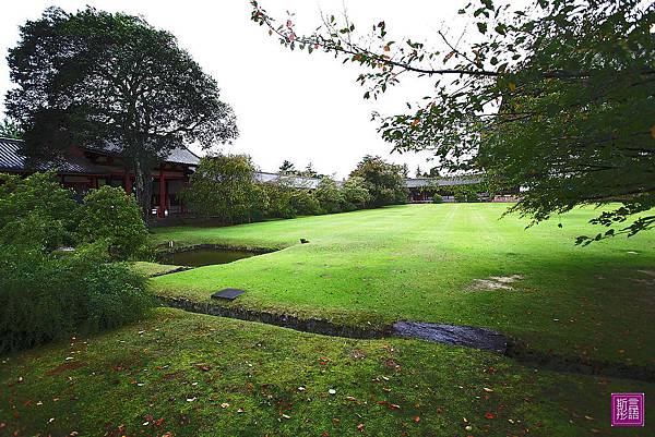 東大寺 (30)