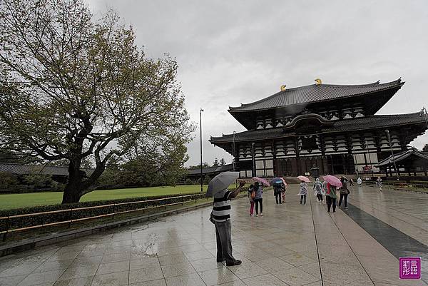 東大寺 (36)