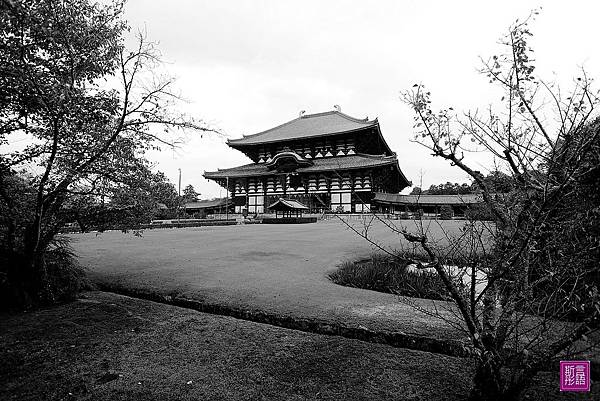 東大寺 (92)