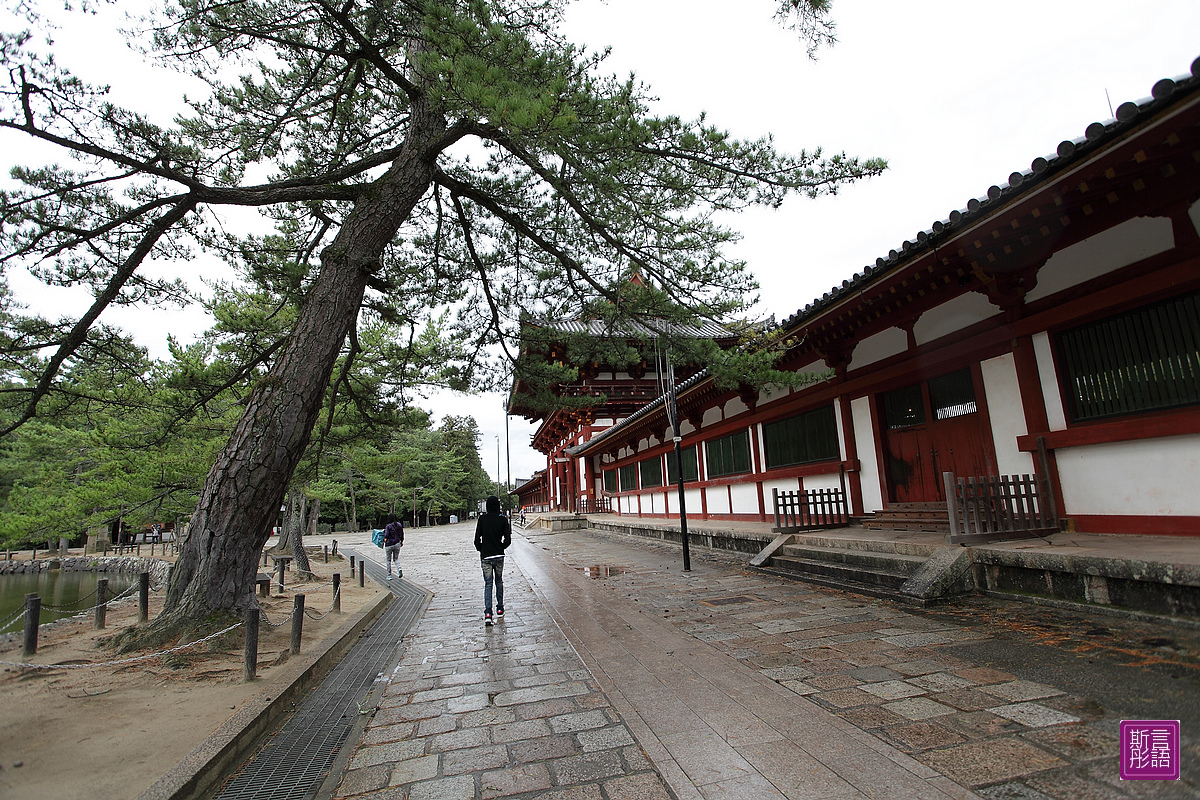 東大寺 (94)