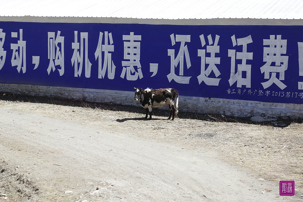 香格里拉-富貴人家 (43).JPG