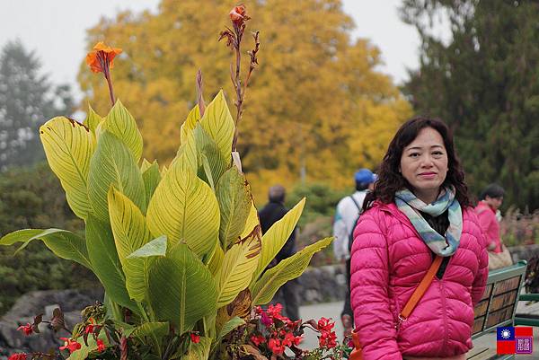 伊莉莎白女王公園 (46)