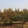 一山瑚水公園 (26)