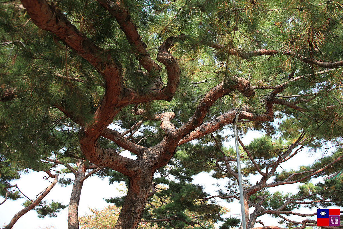 一山瑚水公園 (33)