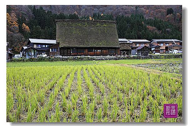 合掌村.下 (24)