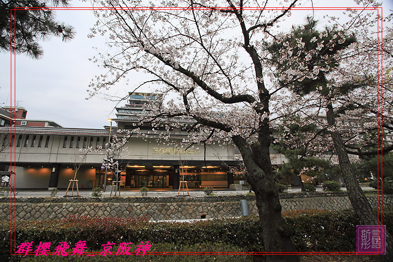 京都國際飯店清晨篇-20090404 (3)