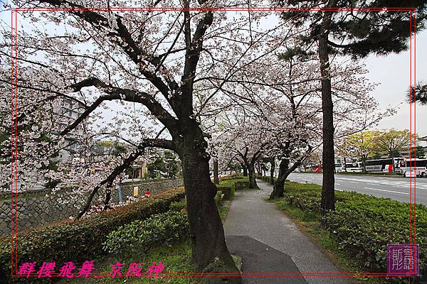 京都國際飯店清晨篇-20090404 (6)