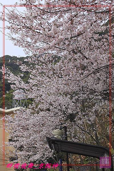 北野天滿神社-20090405 (29)