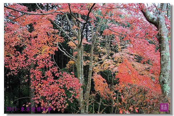 平和公園. (5)