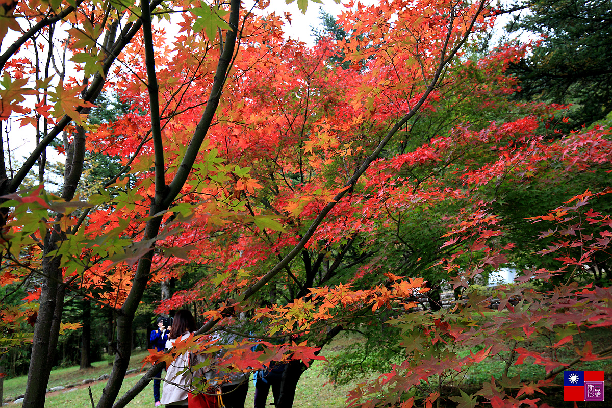 雪嶽山國家公園 (120)