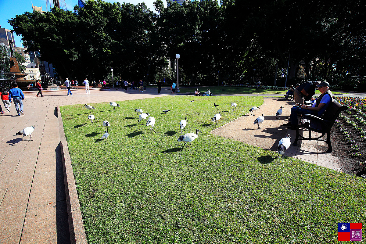 聖瑪莉教堂+海德公園 (58)