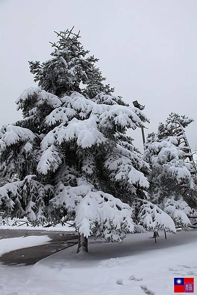 冰天雪地奇遇記 (22)