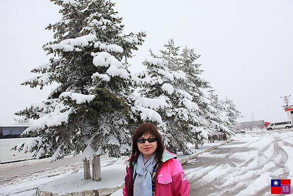 冰天雪地奇遇記 (27)