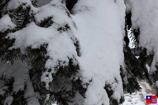 冰天雪地奇遇記 (35)