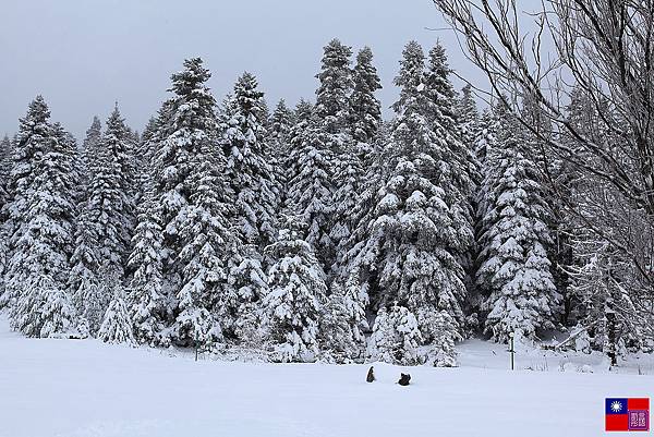 冰天雪地奇遇記 (49)