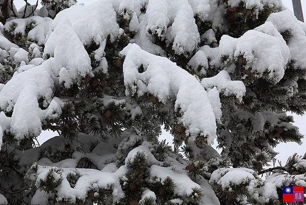 冰天雪地奇遇記 (64)