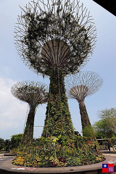 濱海灣花園 (27)