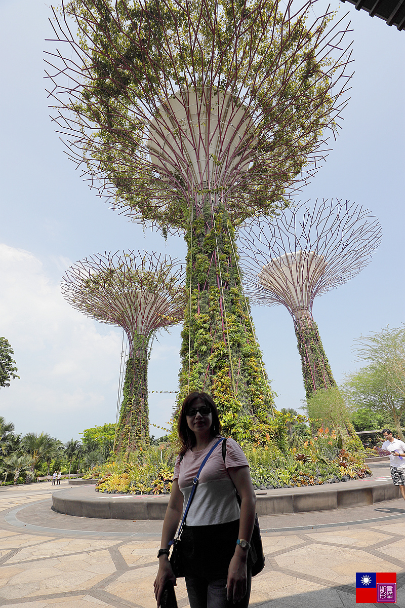 濱海灣花園 (28)