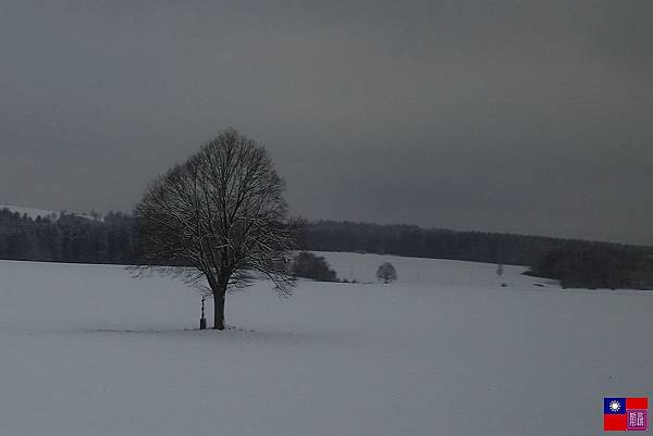 窗外的雪白世界 (13).JPG