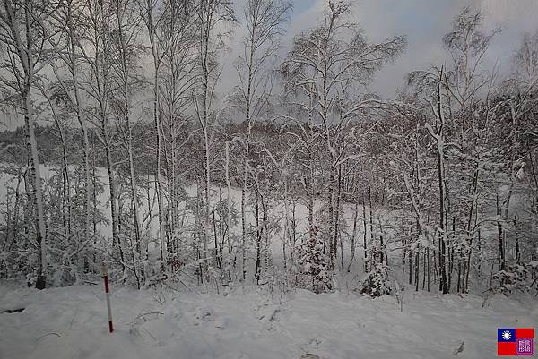 窗外的雪白世界 (73).JPG