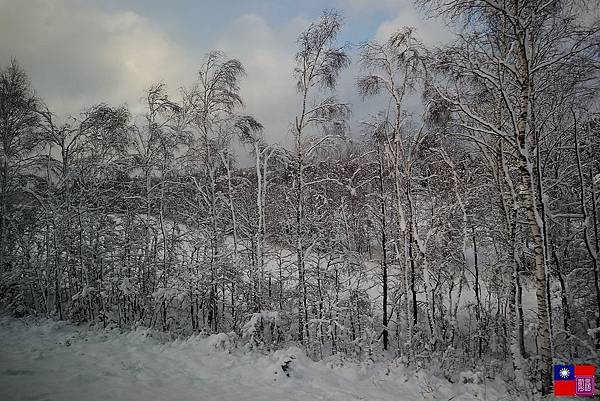 窗外的雪白世界 (72).JPG