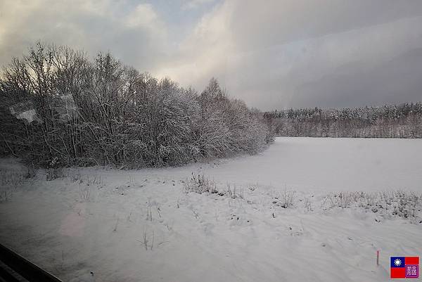 窗外的雪白世界 (80).JPG