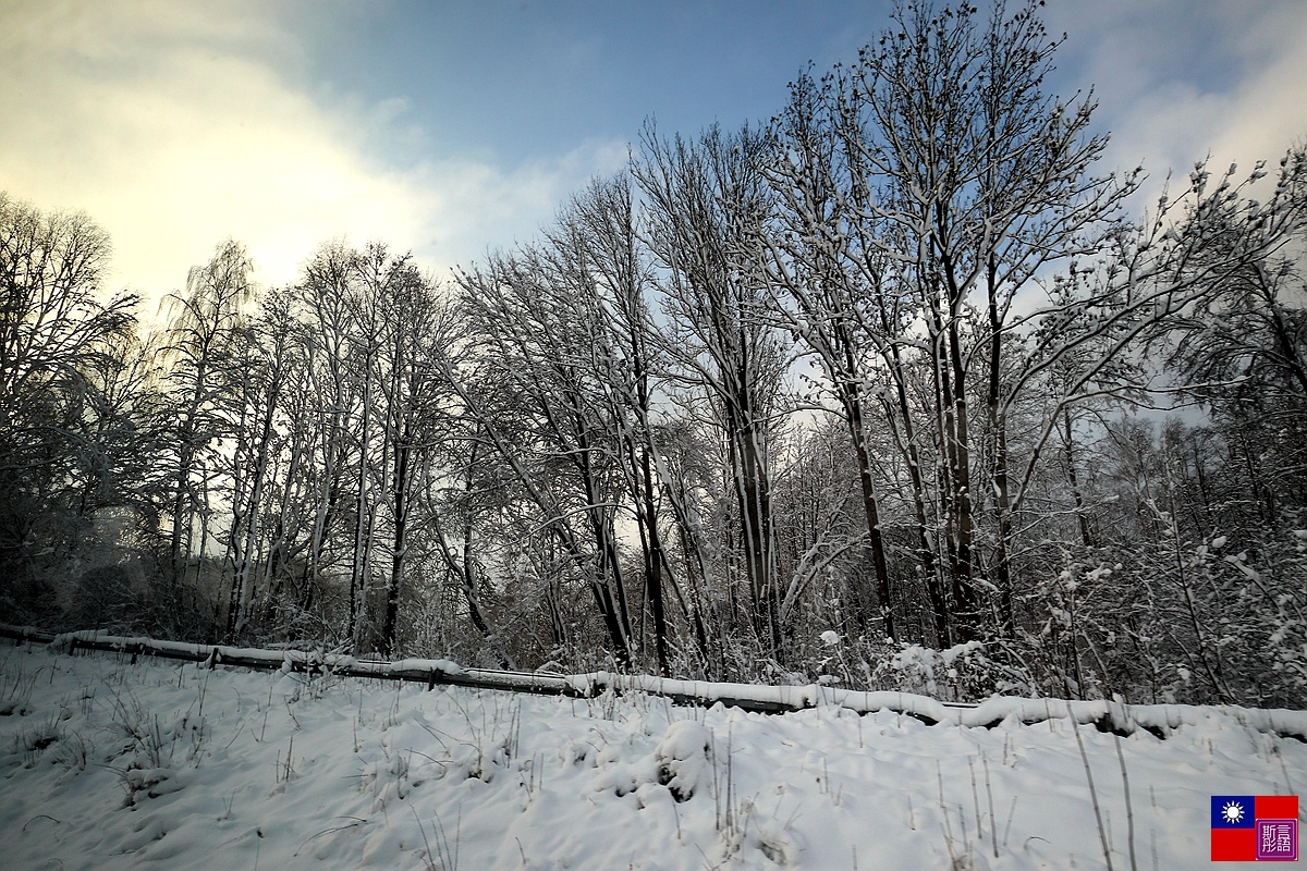 窗外的雪白世界 (82).JPG