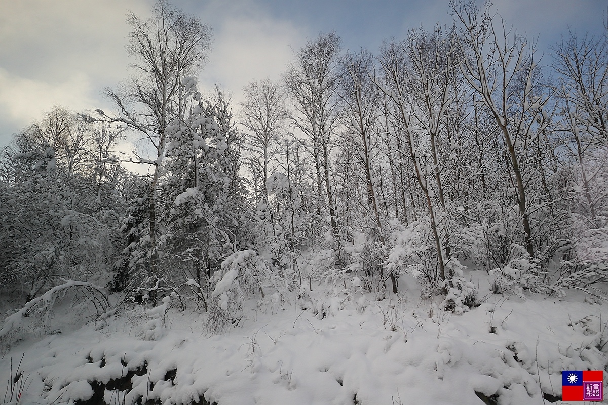 窗外的雪白世界 (87).JPG