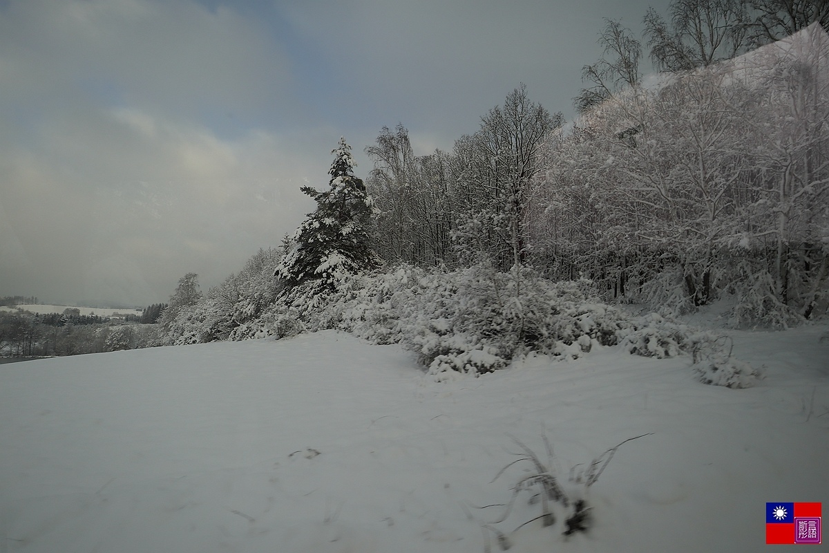 窗外的雪白世界 (107).JPG