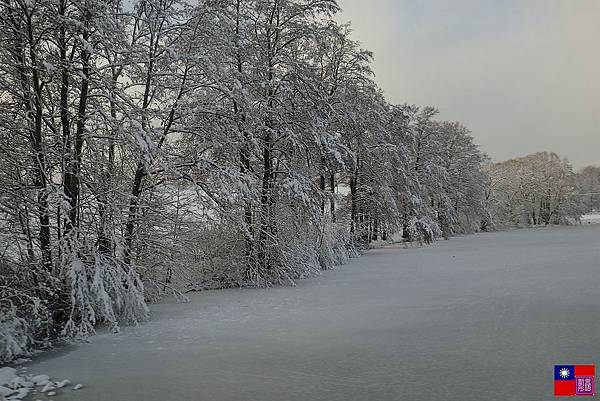 窗外的雪白世界 (127).JPG