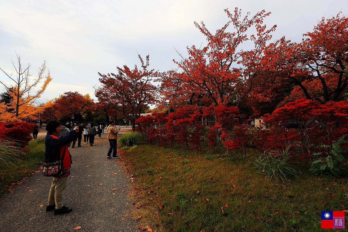 霞城公園 (2).JPG