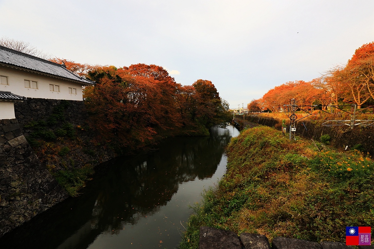 霞城公園 (17).JPG