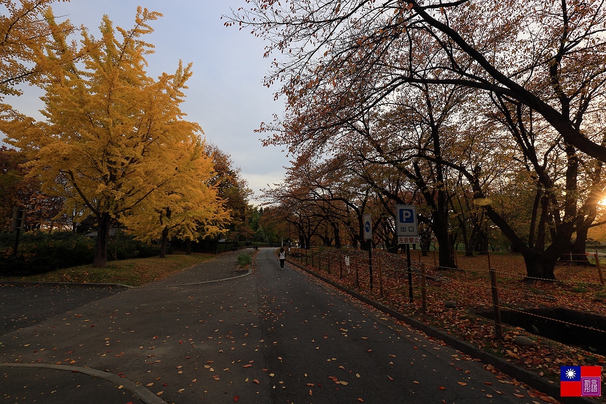 霞城公園 (40).JPG