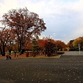 霞城公園 (65).JPG