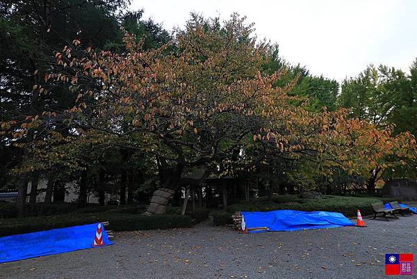 霞城公園 (71).JPG