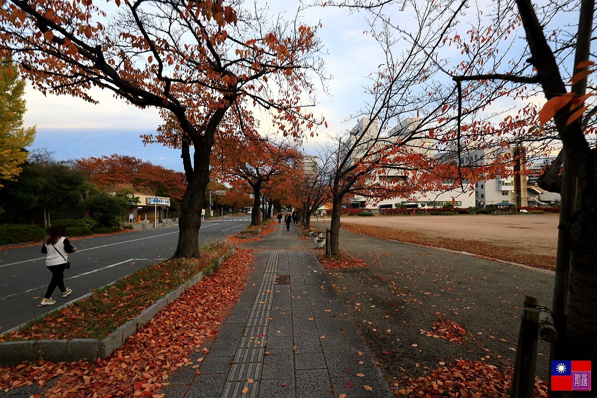 霞城公園 (83).JPG