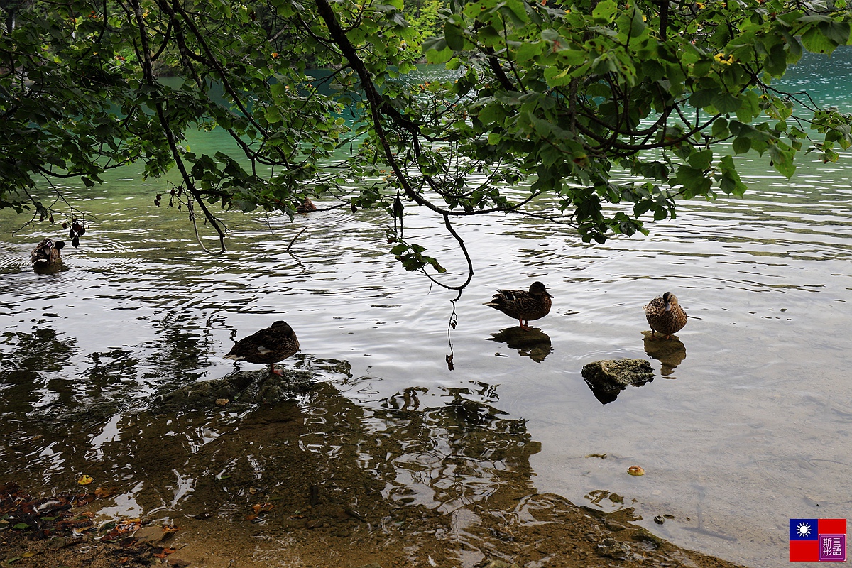 十六湖國家公園 (553).JPG