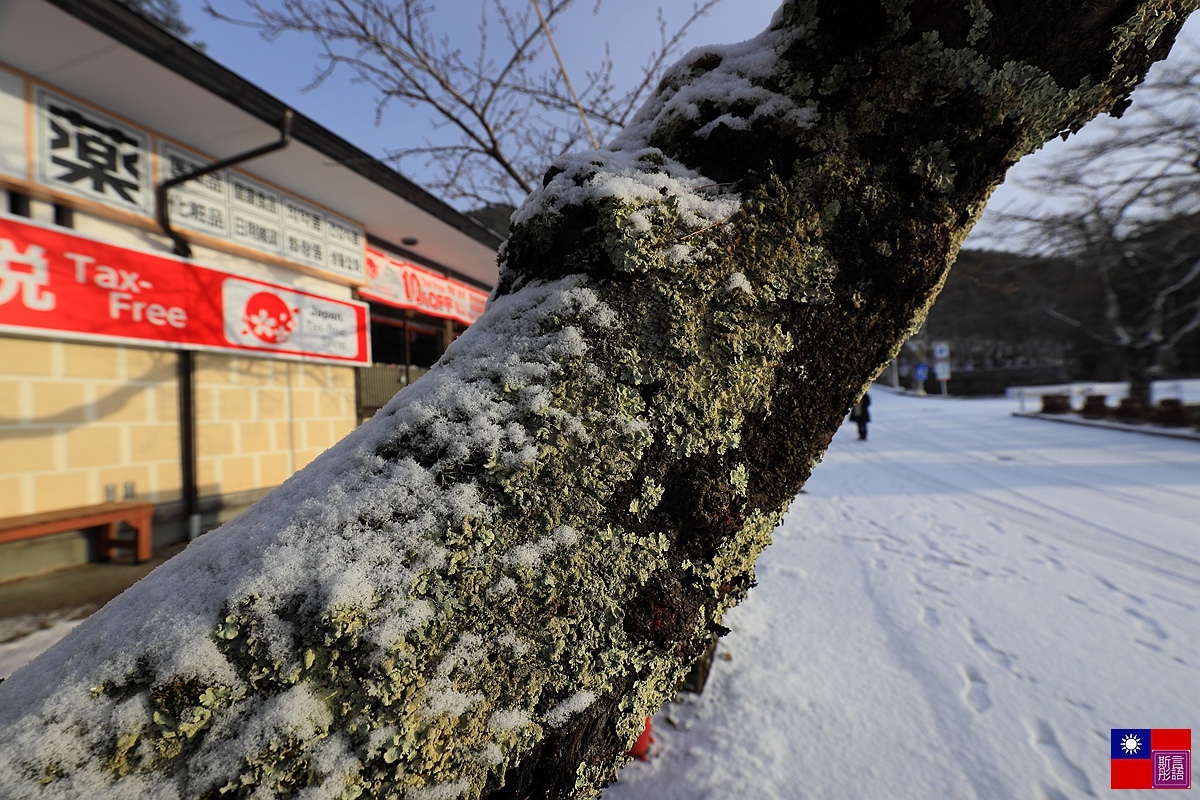 [岩手縣-花卷市]-清晨的雪中情侶探幽 (24).JPG