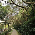 青年公園 (19).JPG