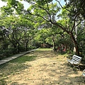 青年公園 (30).JPG