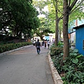 青年公園 (73).JPG