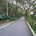 青年公園 (72).JPG