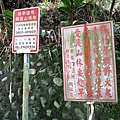 大棟山大縱走 (49).JPG