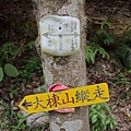 大棟山大縱走 (51).JPG