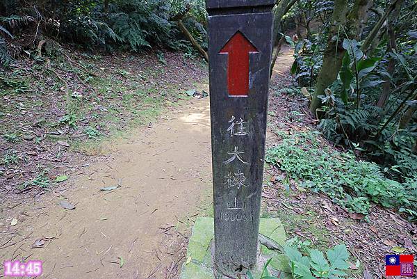 大棟山大縱走 (84).JPG