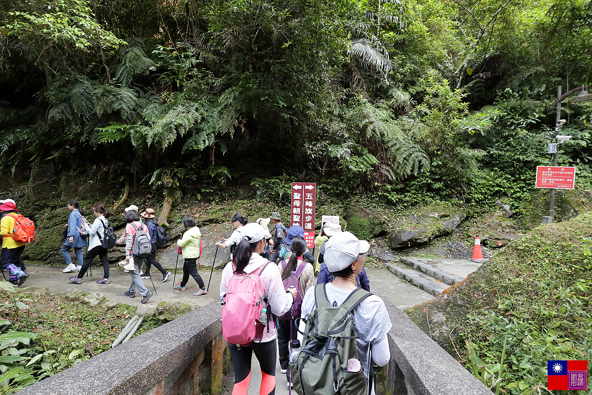 抹茶山 (26).JPG