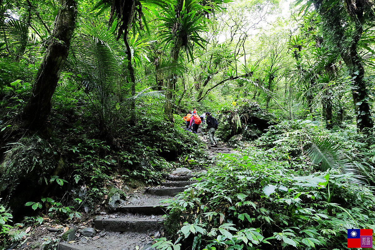 抹茶山 (74).JPG